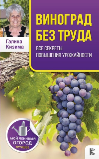 . Виноград без труда