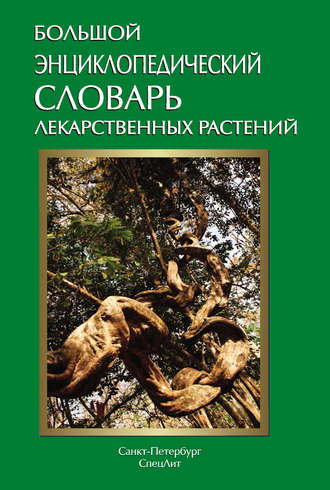 . Большой энциклопедический словарь лекарственных растений