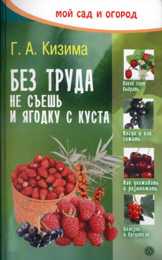 Галина Кизима. Без труда не съешь и ягодку с куста
