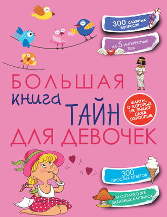 . Большая книга тайн для девочек