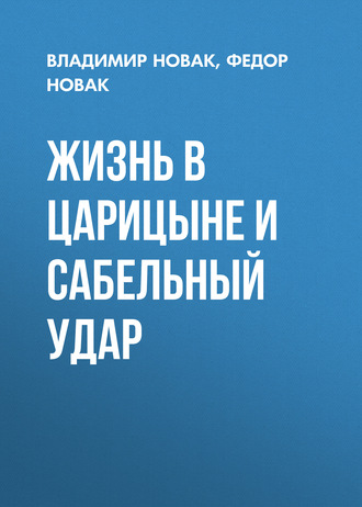 Федор Новак. Жизнь в Царицыне и сабельный удар