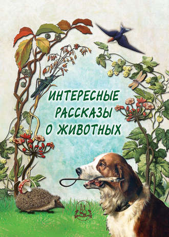 . Интересные рассказы о животных
