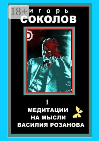 Игорь Соколов. Медитации на мысли Василия Розанова. Том 1
