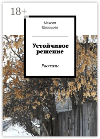 . Устойчивое решение. Рассказы