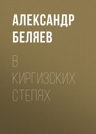 . В киргизских степях