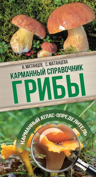 . Грибы. Карманный атлас-определитель