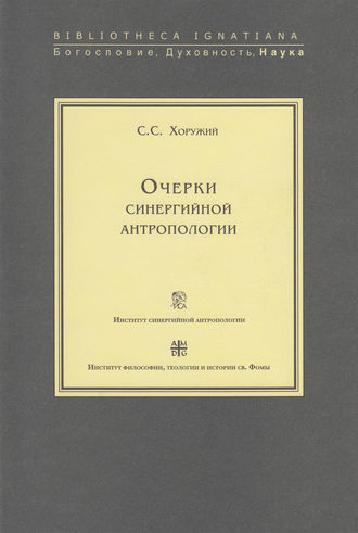 . Очерки синергийной антропологии