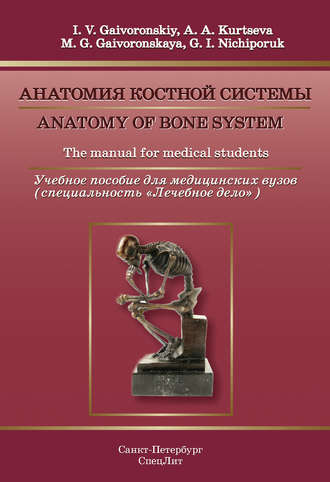 . Anatomy of bone system. The manual for medical students / Анатомия костной системы. Учебное пособие для медицинских вузов