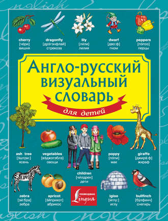 . Англо-русский визуальный словарь для детей