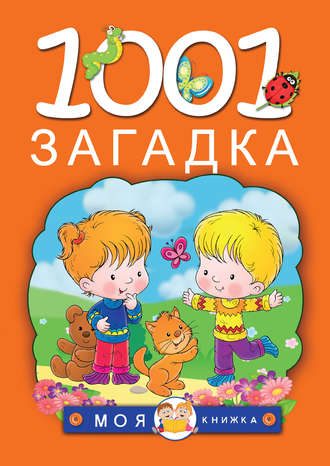 . 1001 загадка