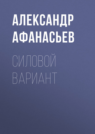 . Силовой вариант