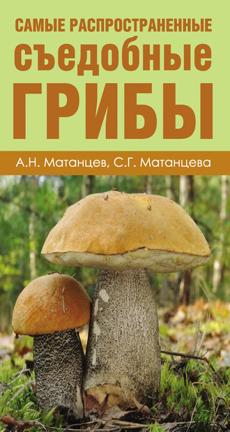 . Самые распространенные съедобные грибы