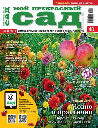 . Мой прекрасный сад №10/2015