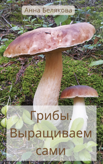 Анна Белякова. Грибы. Выращиваем сами