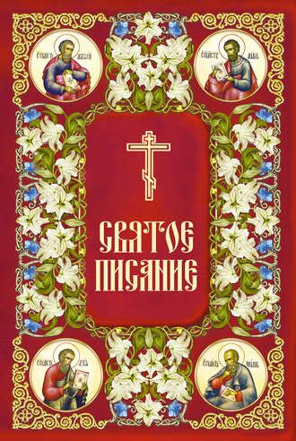 . Святое Писание. Новый Завет Господа нашего Иисуса Христа
