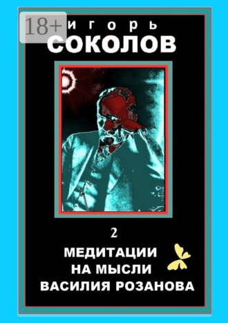 Игорь Павлович Соколов. Медитации на мысли Василия Розанова. том 2