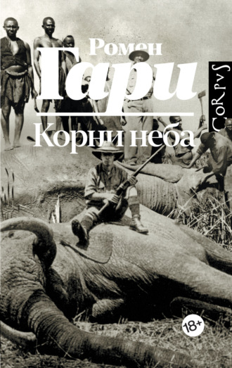. Корни неба