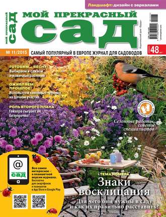 . Мой прекрасный сад №11/2015
