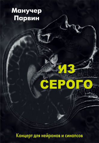 . Из серого. Концерт для нейронов и синапсов