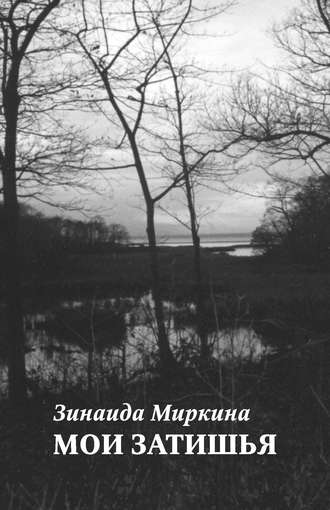 Зинаида Миркина. Мои затишья