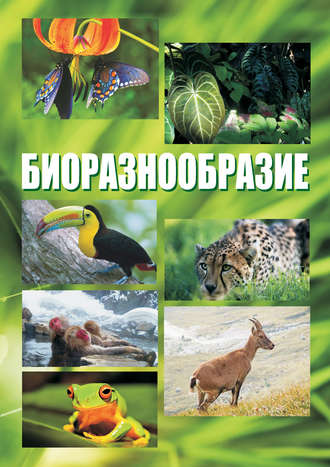 . Биоразнообразие. Курс лекций