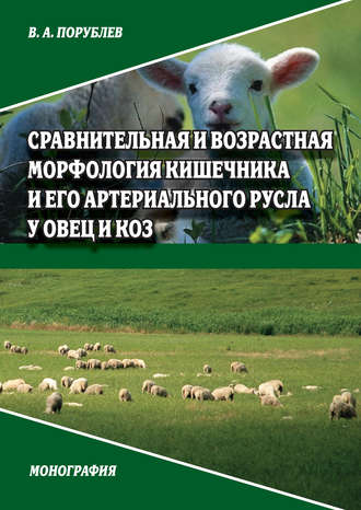 В. А. Порублев. Сравнительная и возрастная морфология кишечника и его артериального русла у овец и коз