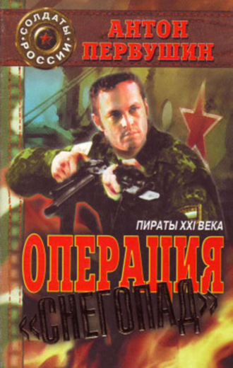 . Пираты неба (Операция «Снегопад»)