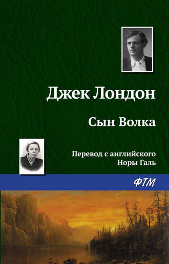 . Сын Волка