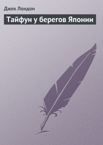 . Тайфун у берегов Японии