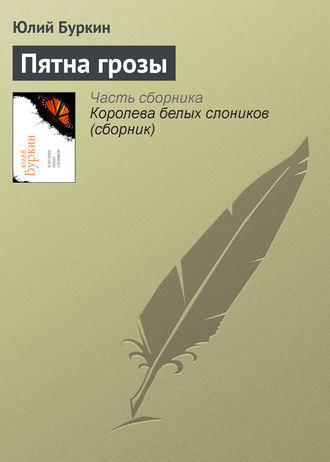 . Пятна грозы