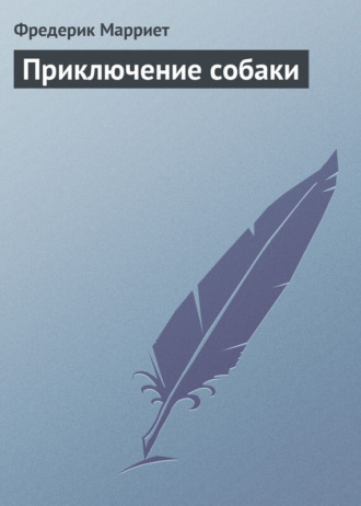 . Приключение собаки