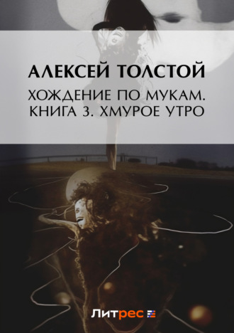 . Хождение по мукам. Книга 3. Хмурое утро
