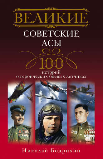 Николай Георгиевич Бодрихин. Великие советские асы. 100 историй о героических боевых летчиках