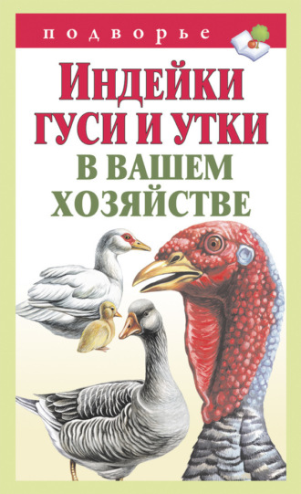 . Индейки, гуси и утки в вашем хозяйстве