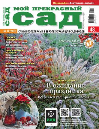 . Мой прекрасный сад №12/2015