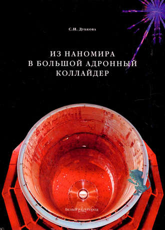 Светлана Дубкова. Из наномира в Большой адронный коллайдер