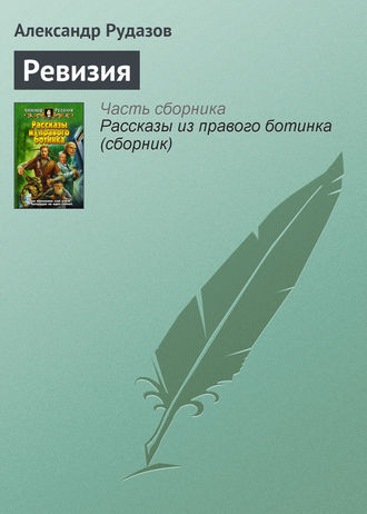 . Ревизия