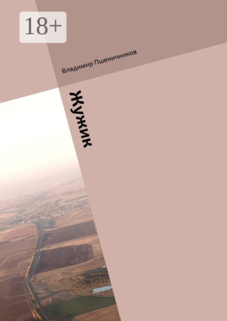 Владимир Анатольевич Пшеничников. Жужик. Сборник журнальной прозы