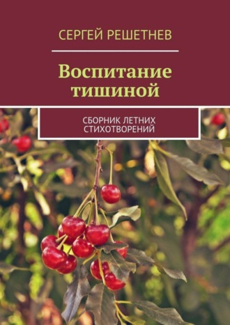 Сергей Решетнев. Воспитание тишиной