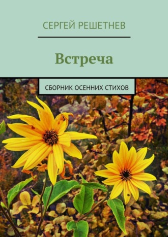 Сергей Решетнев. Встреча