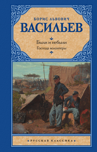 . Были и небыли. Книга 1. Господа волонтеры