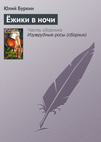 . Ёжики в ночи