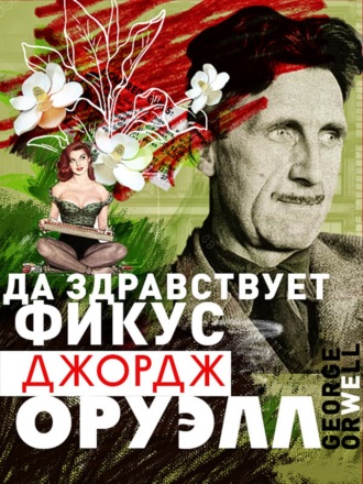 . Да здравствует фикус!