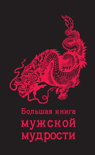 . Большая книга мужской мудрости