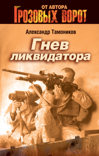 . Гнев ликвидатора