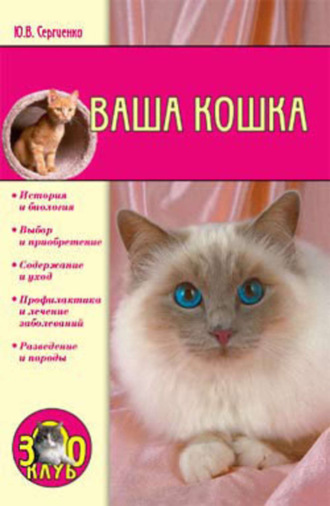 Юлия Сергеенко. Ваша кошка