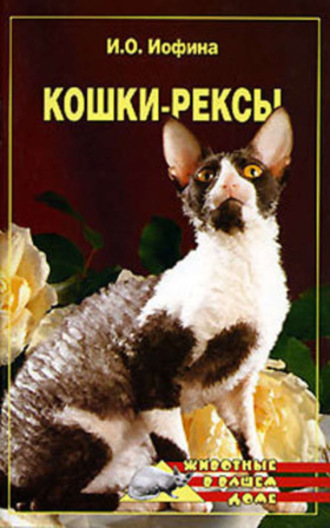 . Кошки – рексы