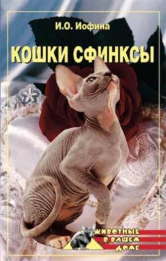 . Кошки – сфинксы