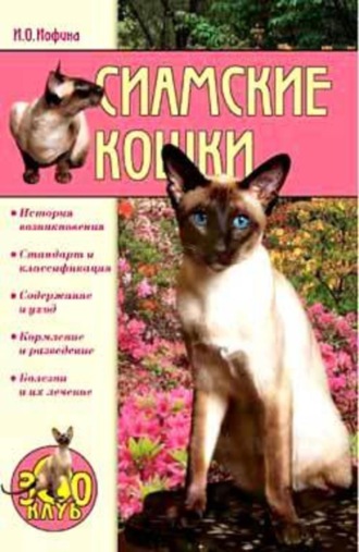 . Сиамские кошки