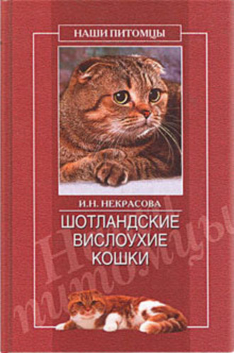 . Шотландские вислоухие кошки
